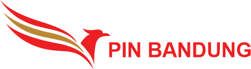 Enamel Custom Pin